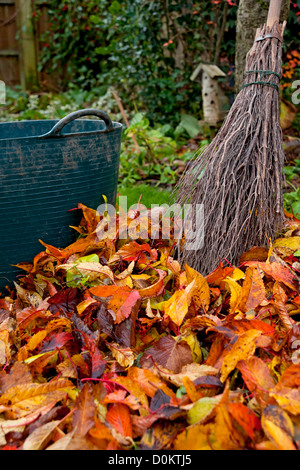 Gros plan de la collecte de lames d'automne déchetantes sur pelouse avec brosse en besom dans le jardin Angleterre Royaume-Uni Grande-Bretagne Grande-Bretagne Banque D'Images