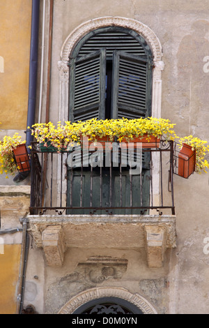 Balcon avec une décoration florale dans la vieille ville de Vérone, Vénétie, Italie Banque D'Images