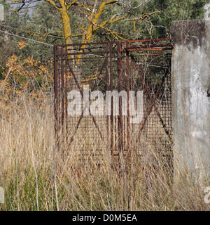 Vintage rusty metal gate et envahi par les plantes. Ruines de paysage rural. Banque D'Images