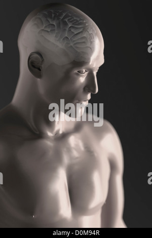 Vue de trois-quarts du cerveau à l'intérieur d'une figure masculine stylisée. Banque D'Images