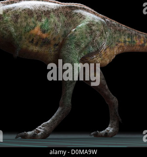 Quartiers arrière sur un modèle Aucasaurus dinosaure. Banque D'Images