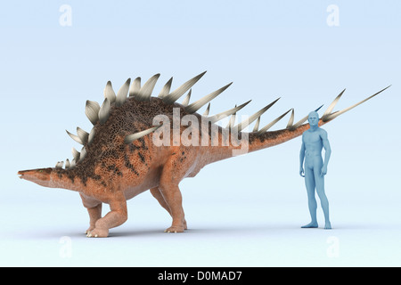 Modèle d'un dinosaure Kentrosaurus montrant la taille par rapport à un humain. Banque D'Images
