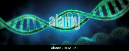 Double Helix montrant la complexité de l'ADN. Banque D'Images