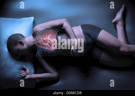 Modèle humain montrant les poumons dans un état d'apnée. Banque D'Images