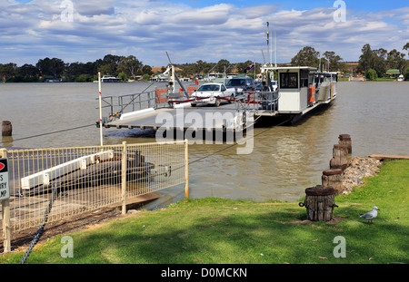 Ferry de Mannum Banque D'Images