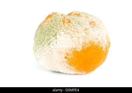 Orange moisis isolated over white Banque D'Images