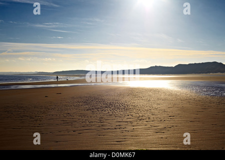 Walking with dog on beach sous Bamborough Castle. Le Northumberland Banque D'Images