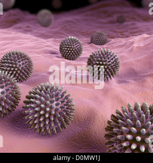 Des grappes de H1N1 Particules de virus. Banque D'Images