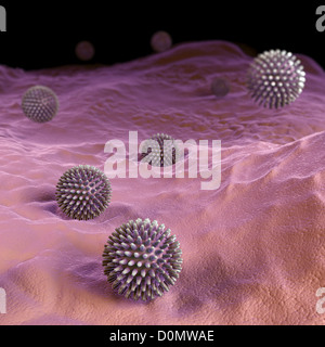 Des grappes de H1N1 Particules de virus. Banque D'Images