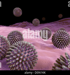 Des grappes de H1N1 Particules de virus. Banque D'Images