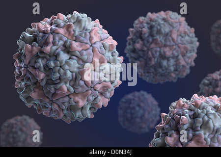 Structure de la souche Sabin poliovirus de type 3 (PDB 2PLV). Banque D'Images