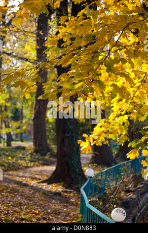 Arrière-plan de l'automne de Varna, Bulgarie Banque D'Images