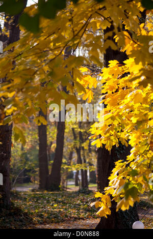 Arrière-plan de l'automne de Varna, Bulgarie Banque D'Images