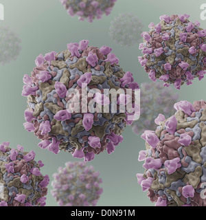 Cryo-em groupe de structure B m c'est la souche du virus coxsackie récepteur cellulaire (PDB 1juif). Virus coxsackie du groupe B ont tendance infecter coeur Banque D'Images