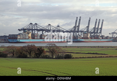 À la recherche à travers champs vers des navires porte-conteneurs chargement au port de Felixstowe, Suffolk, le plus grand port de conteneurs Banque D'Images