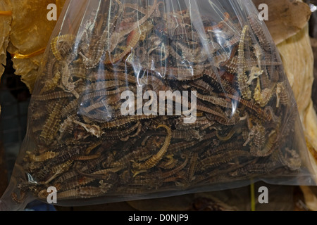 Un sac d'hippocampes en vente, dans un magasin de fruits de mer, Kota Kinabalu, Sabah, Bornéo, Malaisie. Banque D'Images