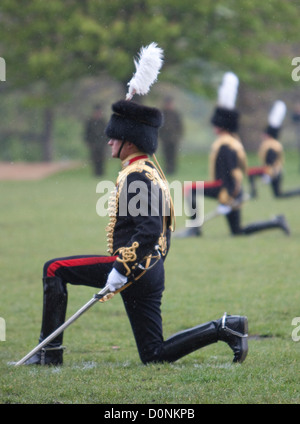 Le défilé des troupes du roi à Hyde Park pour le Major général de l'Inspection de l'état de préparation de la fête 2012 Banque D'Images