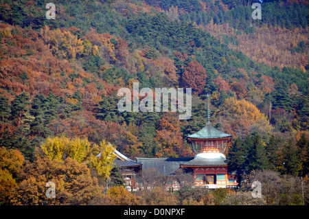 Le référentiel d'Unjoden frêne, entouré de feuillage de l'automne, Nagano, Japon Banque D'Images