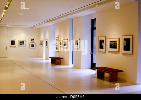 Galerie d’art Banque D'Images