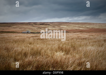 Une maison à distance à la place de premier plan dans le bas de la partie Arkengarthdale Yorkshire Dales Banque D'Images