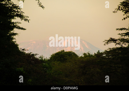 MONT KILIMANDJARO, Tanzanie — le sommet (Sommet Kibo) du Mont Kilimandjaro vu de loin en dessous, avec sa neige et attrapant les rayons dorés du soleil de fin d'après-midi. Banque D'Images