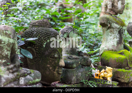 Tête de Bouddha tête de Wat Umong Chiangmai Banque D'Images