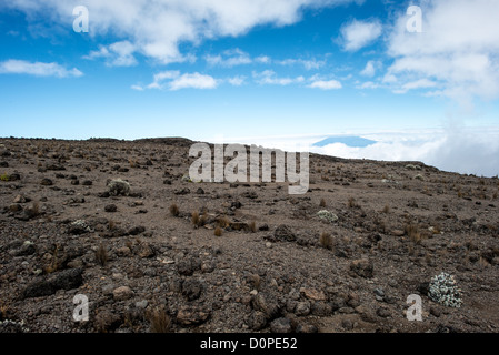 MONT KILIMANDJARO, Tanzanie — le désert rocheux et accidenté d'aplines sur la route du Mont Kilimandjaro Lemosho. Ces clichés ont été pris sur le sentier entre Moir Hut Camp et Lava Tower à environ 14 500 pieds. Au loin, en partie obscurci par les nuages, vous pouvez voir le sommet du Mont Meru. Banque D'Images