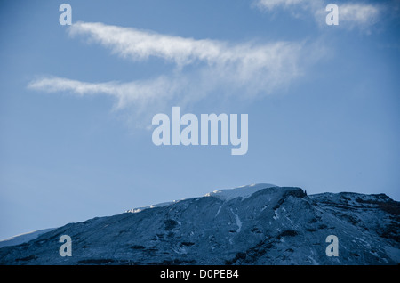 MONT KILIMANDJARO, Tanzanie — pic enneigé du Mont Kilimandjaro vu le matin depuis le camp de Moir Hut (13 660 pieds) sur la route Lemosho du Mont Kilimandjaro. Banque D'Images