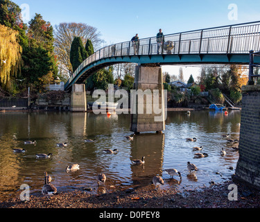 Vue sur la Tamise à marée basse. Personnes sur la passerelle à pied de l'île d'Eel Pie qui n'est accessible que par ce pont ou par bateau - Twickenham, Londres, Royaume-Uni Banque D'Images