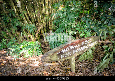 HO CHI MINH-VILLE, Vietnam — Un cratère d'une frappe de bombardier B-52 pendant la guerre du Vietnam reste visible sur le site historique des tunnels de Cu Chi. Le cratère d’impact, maintenant entouré de croissance de bambou régénéré, démontre l’ampleur des opérations de bombardement américaines dans la région. Cette caractéristique préservée du champ de bataille témoigne à la fois de l'intensité de la campagne de bombardement et de la résilience de la nature. Banque D'Images