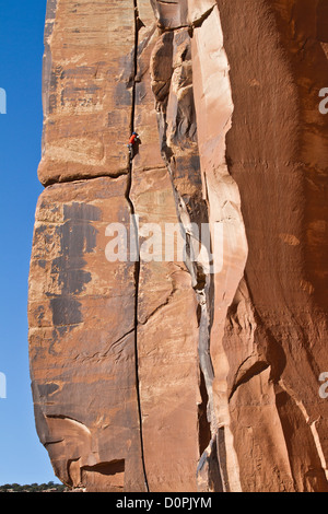 Un homme escalade une fissure dans Indian Creek, près de Moab, Utah USA Banque D'Images