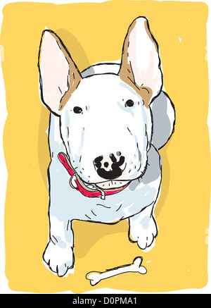 English bull terrier Banque D'Images