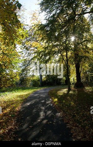 En chemin vide Cabinteely Park Dublin Irlande avec les arbres d'automne Banque D'Images
