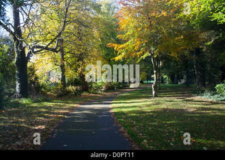 En chemin vide Cabinteely Park Dublin Irlande avec les arbres d'automne Banque D'Images