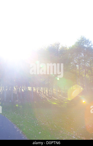 Le torchage du soleil sur un paysage en Cabinteely Park de Dublin Irlande Banque D'Images