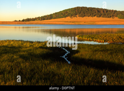 Coucher du soleil sur le lac Crescent, Montagnes Blanches, Apache National Forest, l'Est AZ. USA Banque D'Images