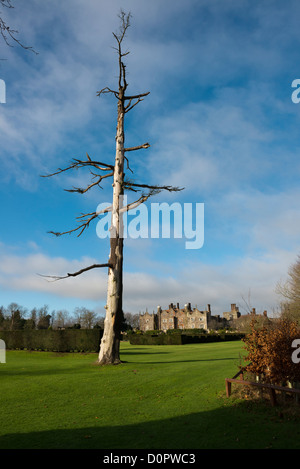 Eastwell Manor country estate hotel, Broughton Lees, Ashford, Kent. Banque D'Images