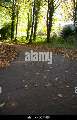 En chemin vide Cabinteely Park Dublin Irlande avec les arbres d'automne Banque D'Images