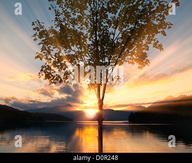 DE - La Bavière : Coucher de soleil sur le lac de Walchensee nr. Kochel Banque D'Images