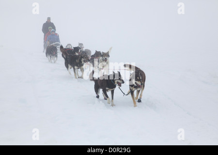 Tour de traîneau sur le bol à punch, Glacier, près de la Forêt Nationale de Chugach Girdwood, Alaska. Banque D'Images