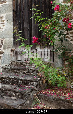 Une porte à Ségur-le-Château, Corrèze, Limousin, France Banque D'Images