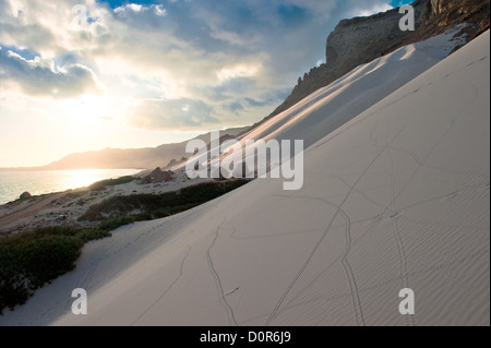 Dunes de sable de Archer, île de Socotra, au Yémen Banque D'Images