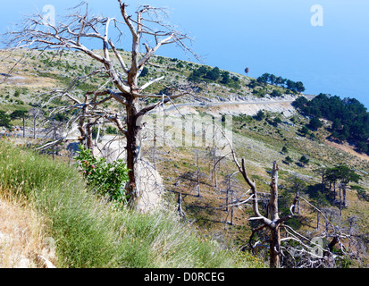 Col Llogara d'été (Albanie) Banque D'Images