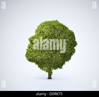 Arbre en forme de tête Banque D'Images