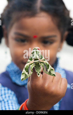 Jeune fille de l'école indienne tenant un faucon d'oléandre espèce . Daphnis nerii Banque D'Images