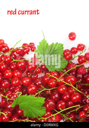 groseille rouge Banque D'Images