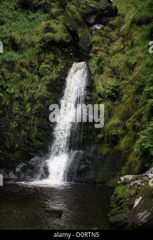 Pistyll Rhaeadr cascade dans les montagnes Berwyn Powys Pays de Galles Banque D'Images