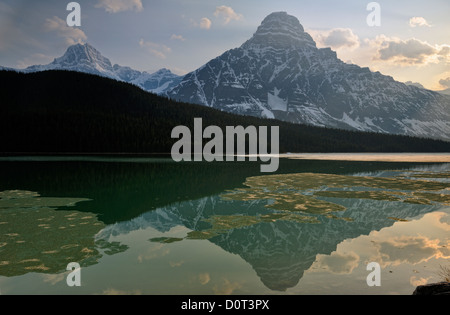 Le Lac de la sauvagine inférieur avec la fonte des glaces et sur la montagne (Mt. Khéphren) réflexions, Banff National Park, Alberta, Canada Banque D'Images