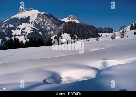 La forêt de montagne, Böli, Chüblisbüel, Emmental, forêt de sapins, house, maison, cour, cour, canton de Berne, Kemmeriboden, paysages, natur Banque D'Images