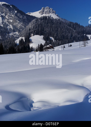 La forêt de montagne, Böli, Chüblisbüel, Emmental, forêt de sapins, house, maison, cour, cour, canton de Berne, Kemmeriboden, paysages, natur Banque D'Images